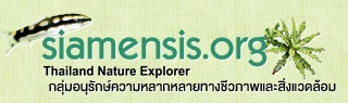 กลุ่มอนุรักษ์ความหลากหลายทางชีวภาพและสิ่งแวดล้อม logo