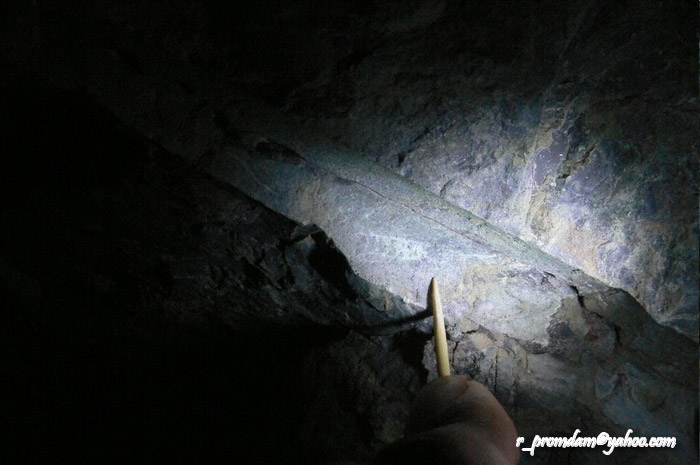 ในร่องสำหรับสอดไดนาไมทืระเบิดถ้ำ ก็มีรอยฟอสซิลนอติลอยด์อยู่ อันนี้รอยผ่าตามยาว